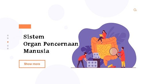 Sistem Organ Pencernaan Manusia