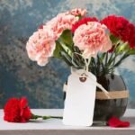 Bunga Anyelir (Carnation)