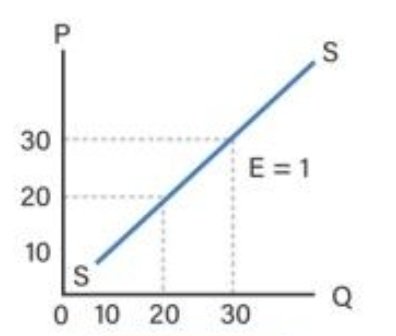Kurva Elastis Uniter